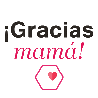 Dif Pueblo Magico Sticker by SantiagoNuevoLeon
