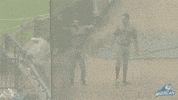 happy grand rapids GIF by West Michigan Whitecaps 