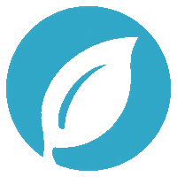 getsproutstudio leaf Sprout sprout studio Sticker