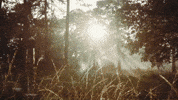 September 5 Love GIF