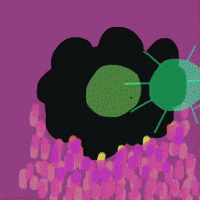 Flower Rain GIF by Barbara Pozzi