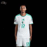 Fifa World Cup Algeria GIF by Respective