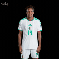 Fifa World Cup Algeria GIF by Respective