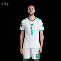 Fifa World Cup Algeria GIF by Respective