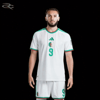 Fifa World Cup Algeria GIF by Respective