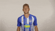 Hertha Berlin Sport GIF by Hertha BSC