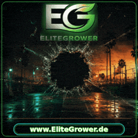 Buy Now Shopping GIF by EliteGrower