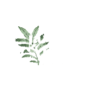 lamezcaleriadxb mezcaleria jbr mez jbr la mezcaleria jbr Sticker