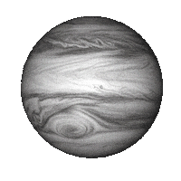 Miami No Sticker by lenay