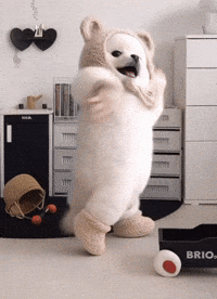 Happy Shih Tzu GIF