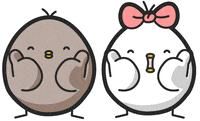 sticker chicken GIF by Black and white chickens