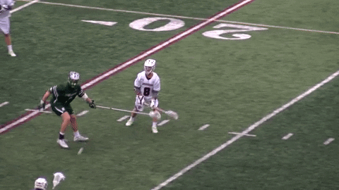 LafayetteLeopards giphyupload lacrosse leopards roll pards GIF