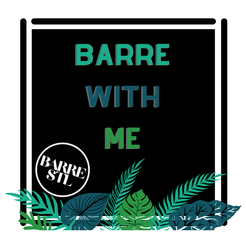 BarreSTL giphyupload barre stl stlouis Sticker