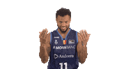 Liga Endesa Basketball Sticker by ACB
