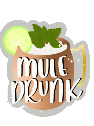 jesswritesonthings giphyupload drunk drinking alcohol Sticker