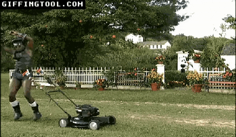 giphyupload GIF