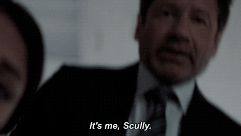 scully mulder GIF by The X-Files