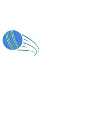 India Cricket Sticker by TAGZ