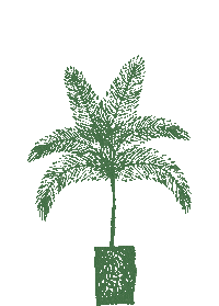 Growing Lucho Bermudez Sticker by Puerto Candelaria