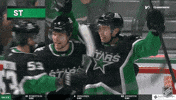 Happy Dallas Stars GIF by NHL