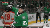 Happy Dallas Stars GIF by NHL