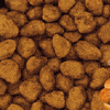 chick fil a GIF