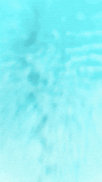 Videogame GIF by Youtooz