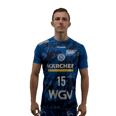 Handball Stuttgart Sticker by DAIKIN HBL