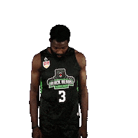 Asean Basketball League Sticker by ABL