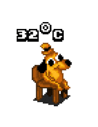 Nc Sticker