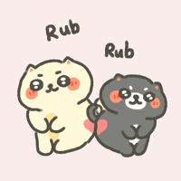 Cute Cat Rubbing GIF
