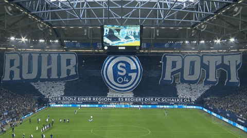 Football Soccer GIF by FC Schalke 04
