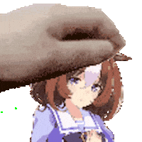 Pet Princess Sticker