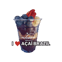 acaibrazilfl  Sticker