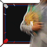laststandsports asc GIF