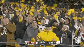 National Football League GIF by NFL