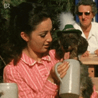Dog Beer GIF by Bayerischer Rundfunk