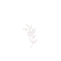 quimera_rosa plants minimal plantas ramas Sticker