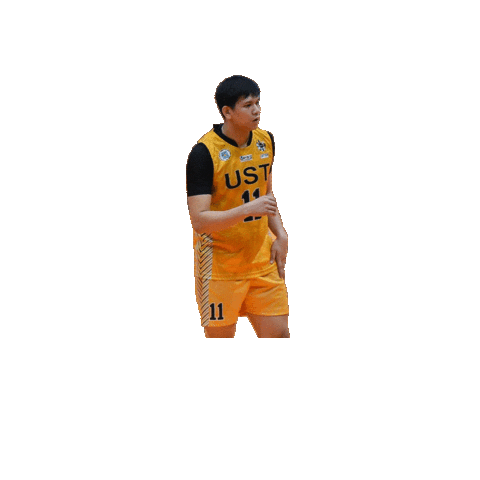 Joshua Sticker by UST Growling Tigers