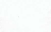 art GIF by Eno Swinnen