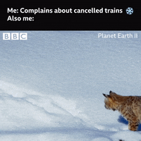 Bbc One Fml GIF by BBC