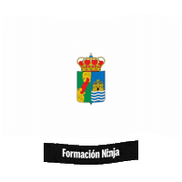 Flag Spain Sticker by Formación Ninja