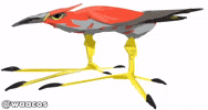 Kiwi Bird Pokemon GIF