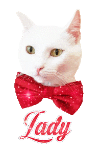 Cat Lady Sticker