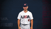 Pro GIF by USA Baseball