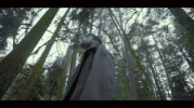 the amulet lustration GIF by Circa Survive