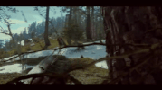 the amulet lustration GIF by Circa Survive