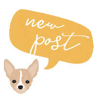 eddiethechihuahua dog new new post puppy Sticker