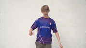 Winner Cheer GIF by Copenhagen Flames