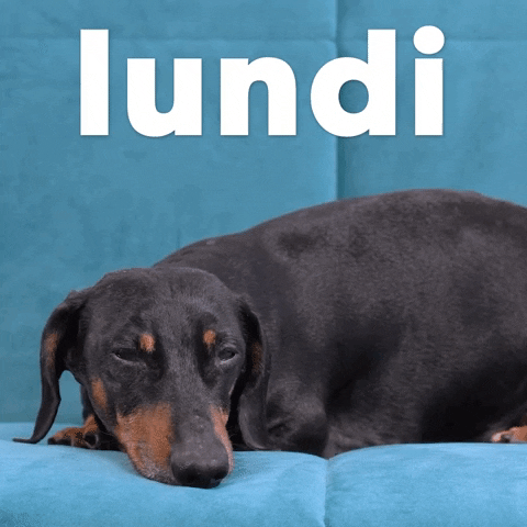 French Lundi GIF by Sealed With A GIF